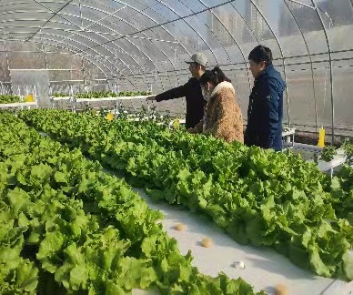 新葡京娱乐