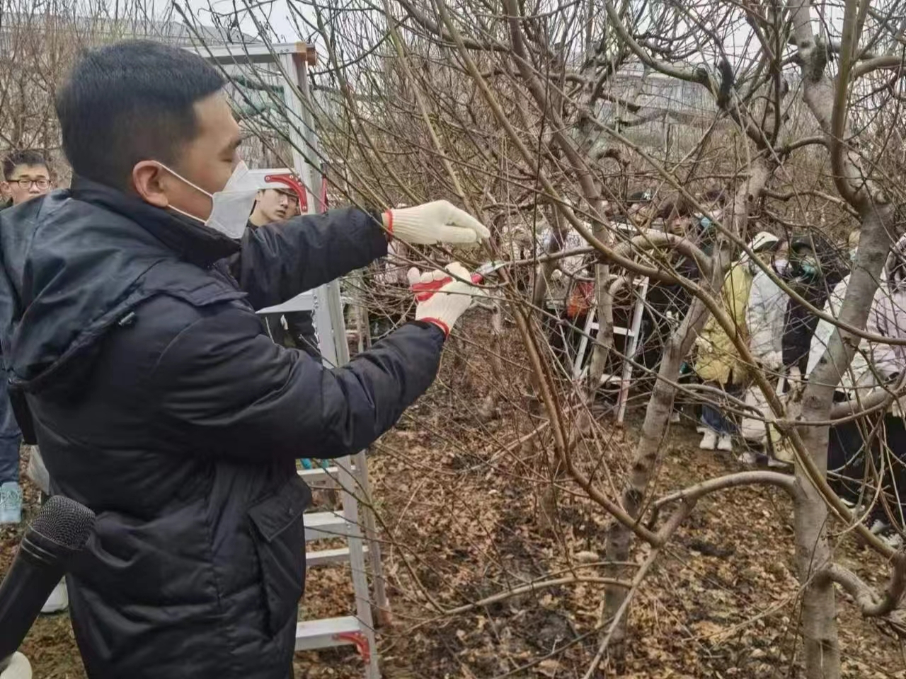 新葡京娱乐