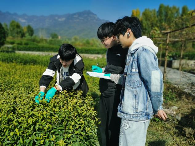 新葡京娱乐