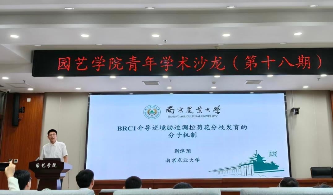 新葡京娱乐