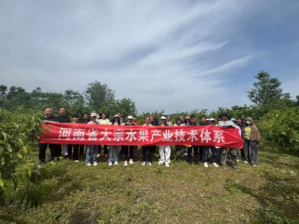 新葡京娱乐