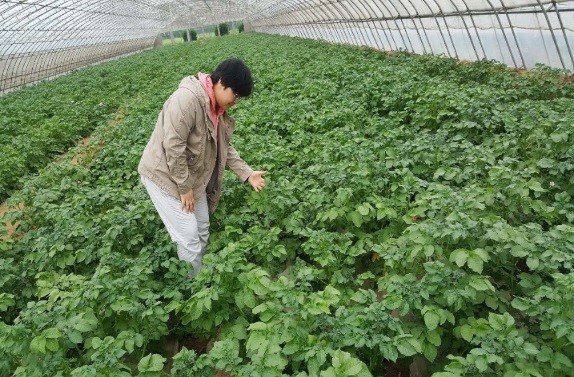 新葡京娱乐