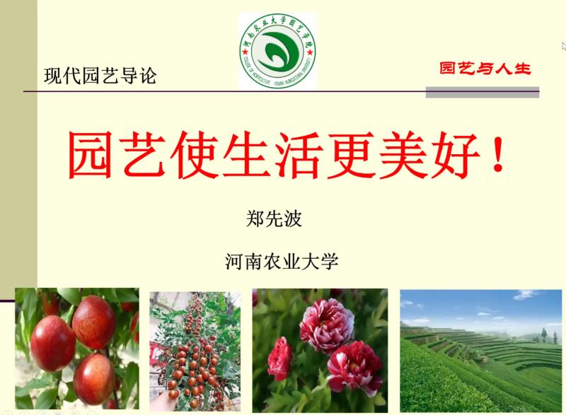 新葡京娱乐