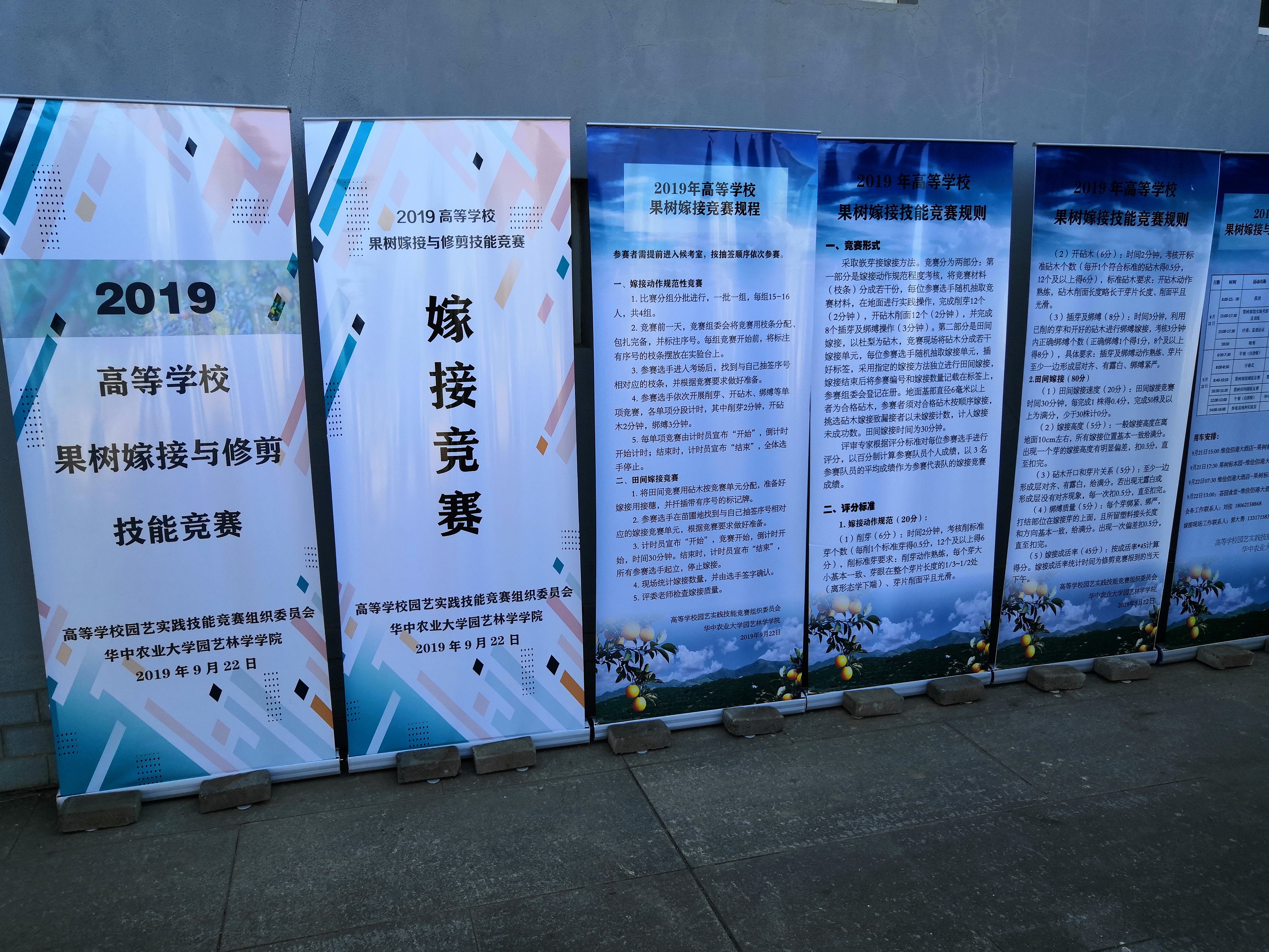 新葡京娱乐