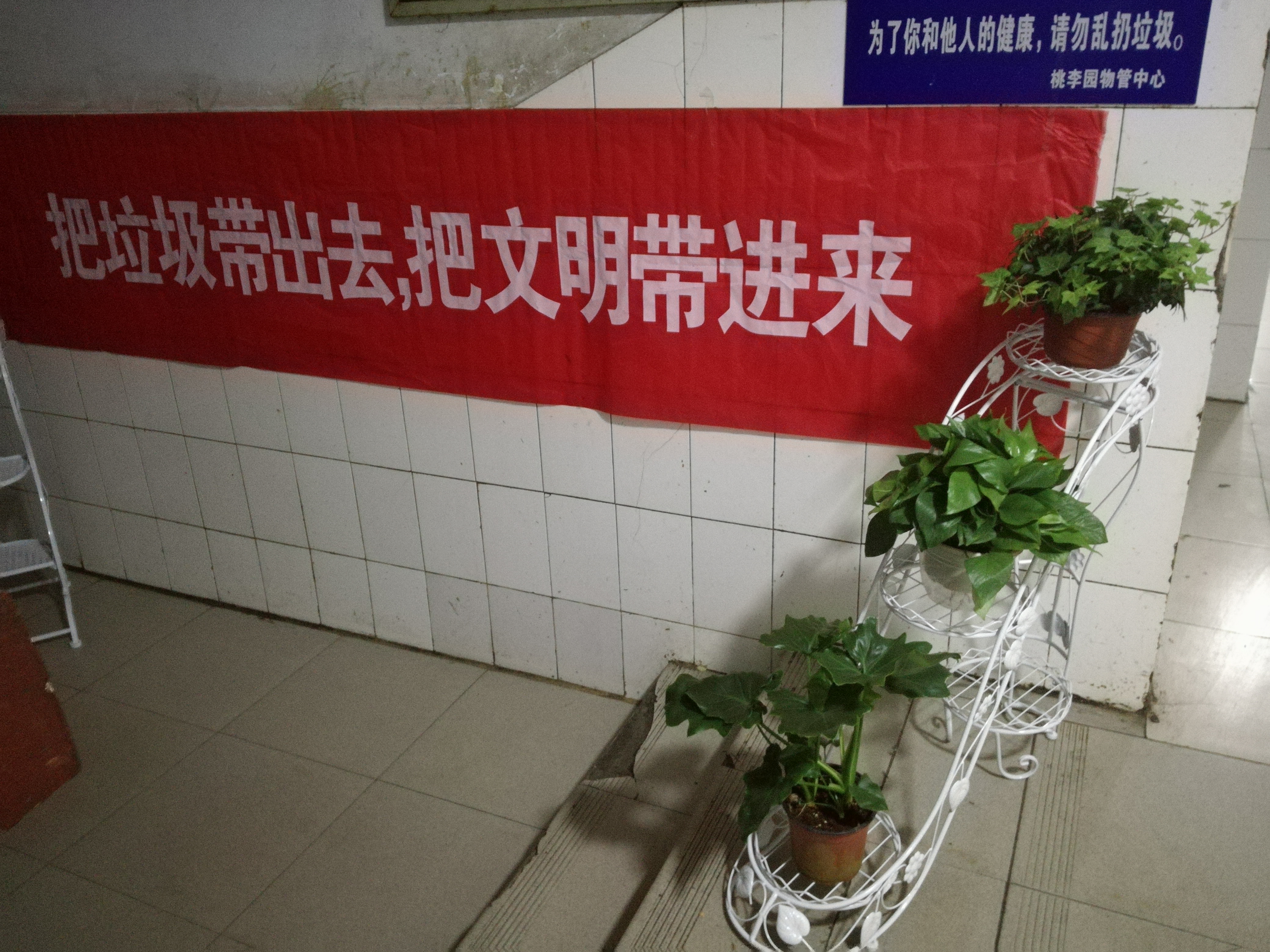 新葡京娱乐