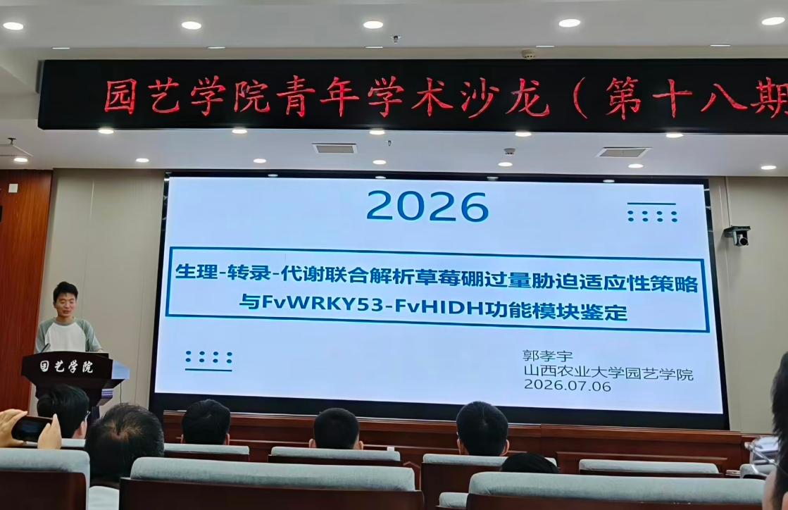 新葡京娱乐