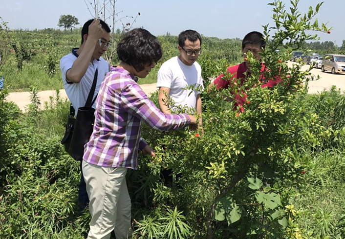 新葡京娱乐