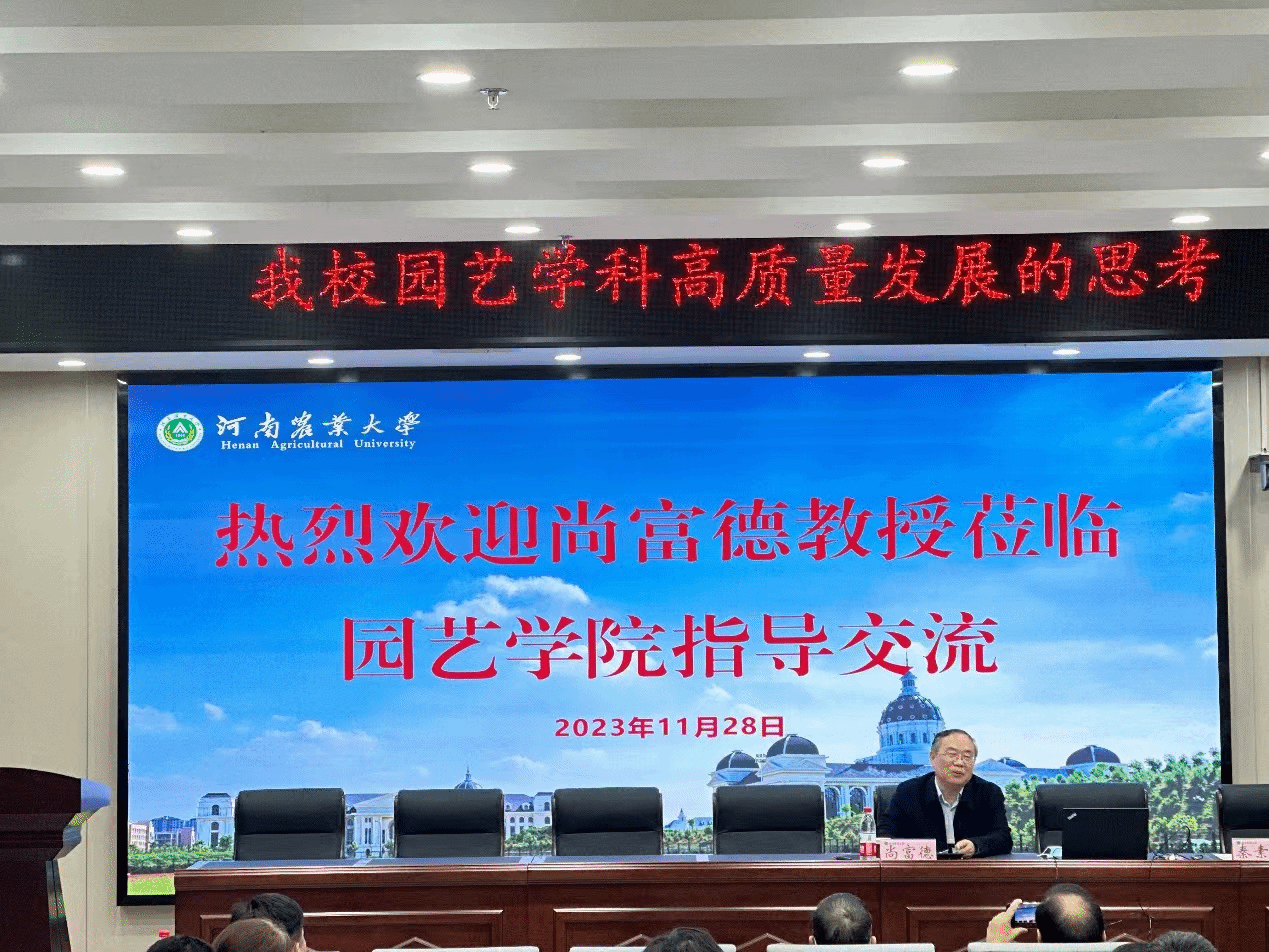 新葡京娱乐