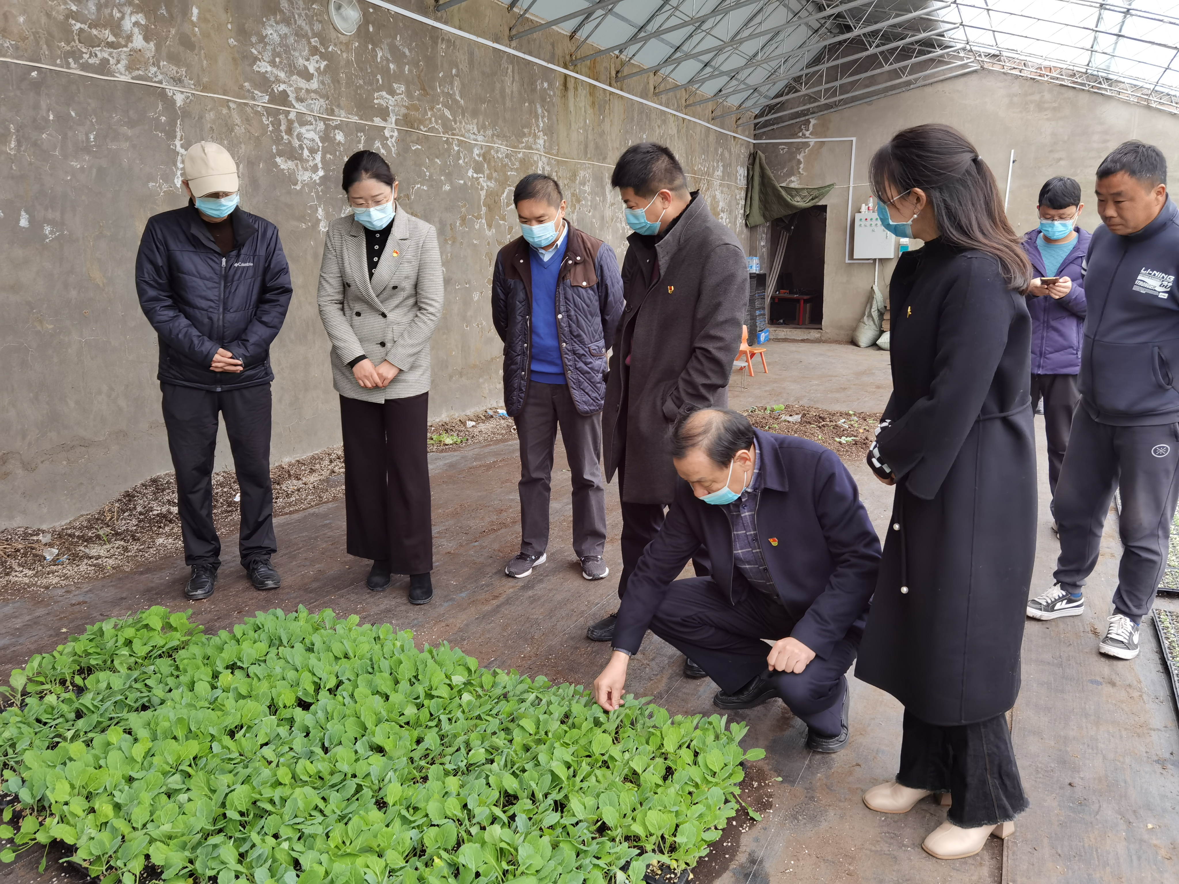 新葡京娱乐