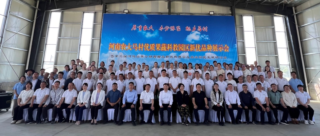 新葡京娱乐