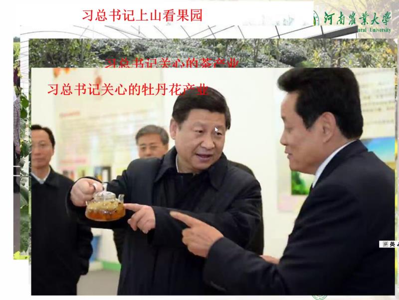新葡京娱乐