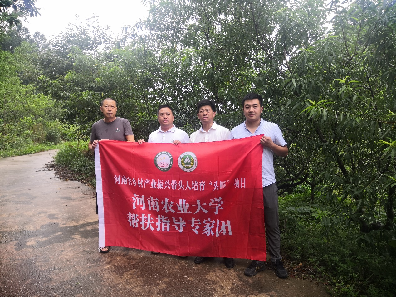 新葡京娱乐
