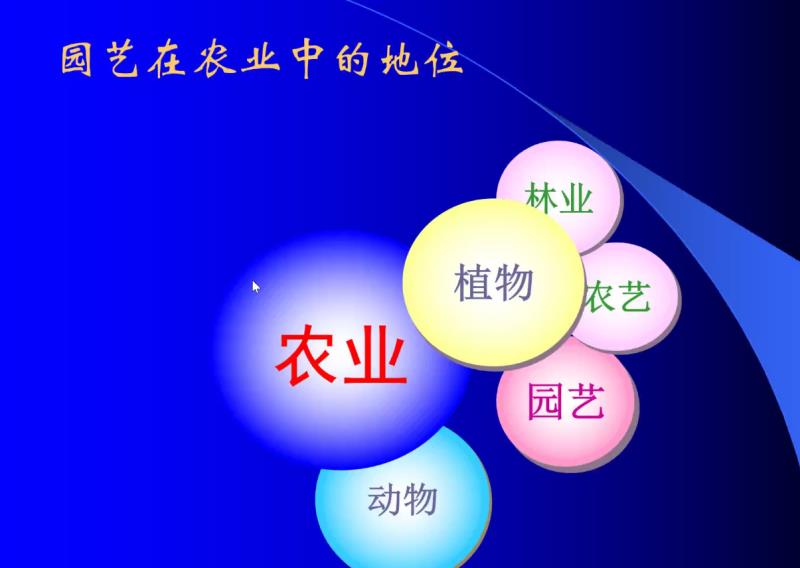新葡京娱乐