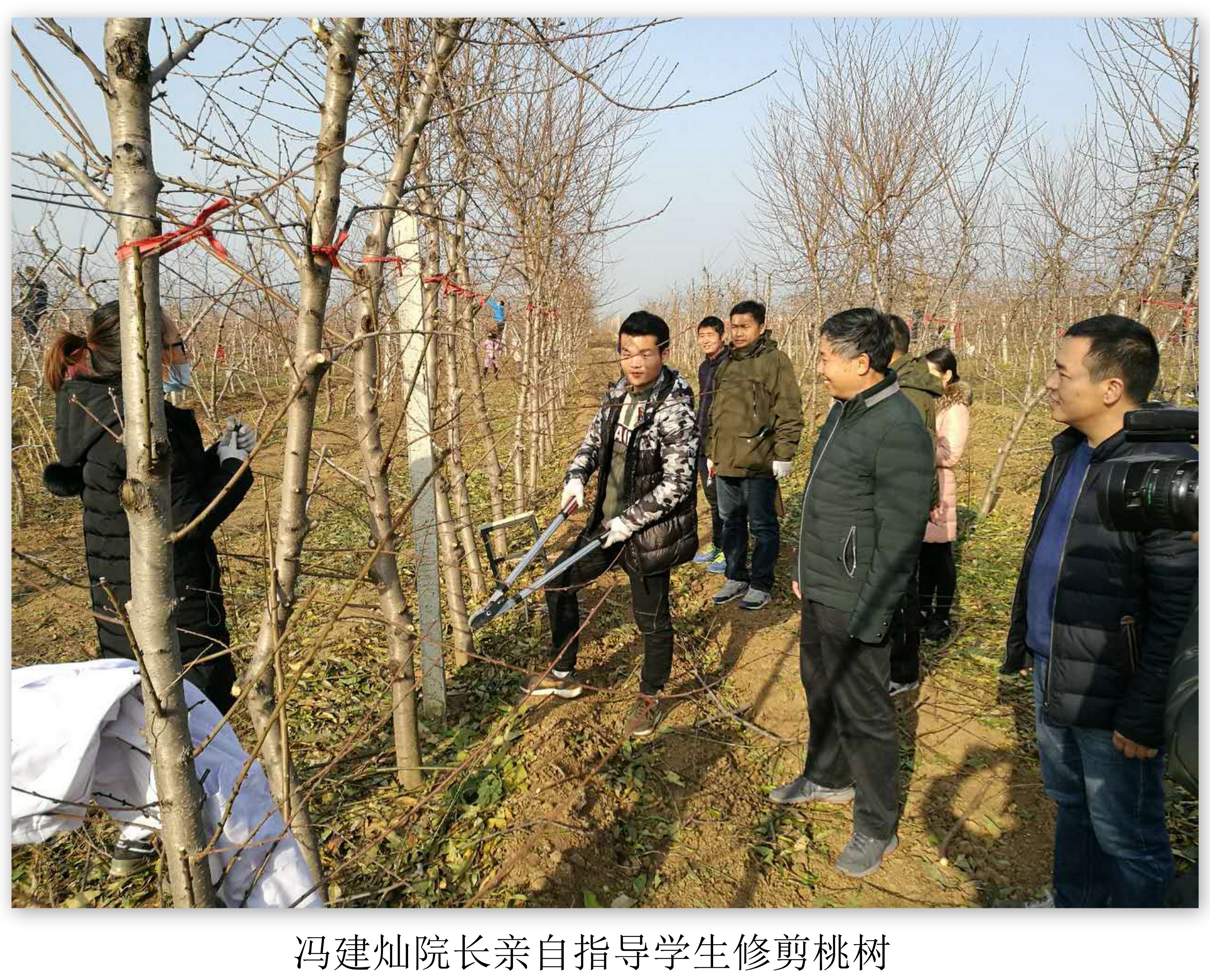 新葡京娱乐
