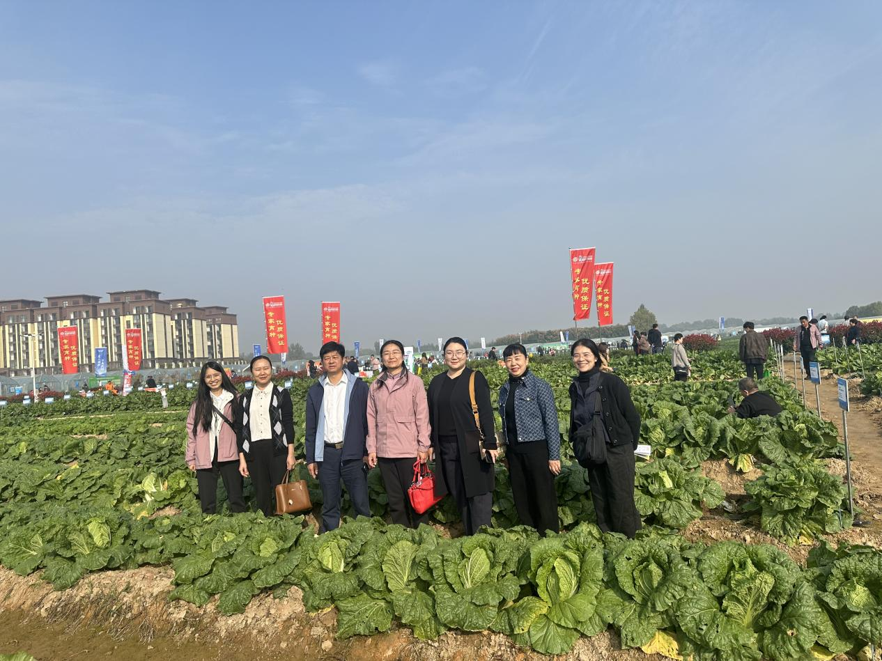 新葡京娱乐