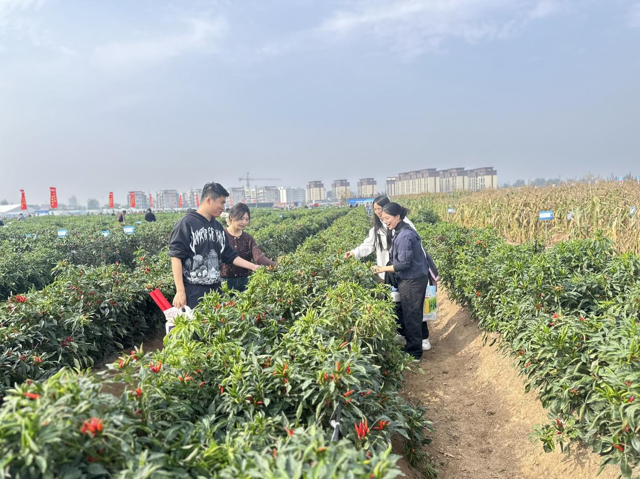 新葡京娱乐
