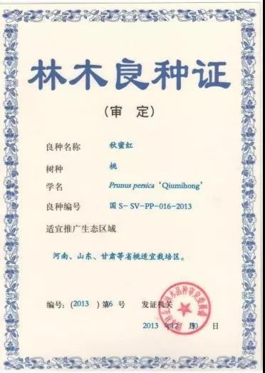 新葡京娱乐