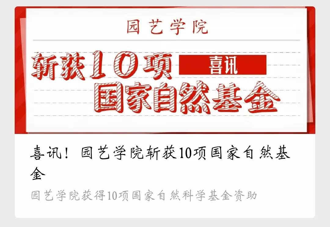 新葡京娱乐