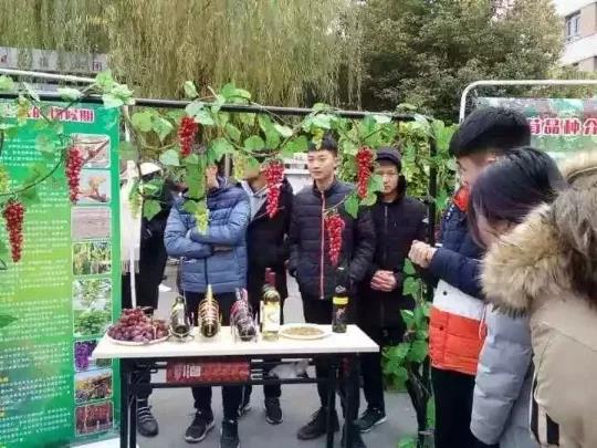 新葡京娱乐