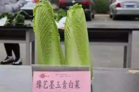 新葡京娱乐