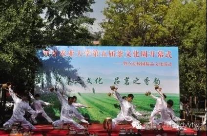 新葡京娱乐