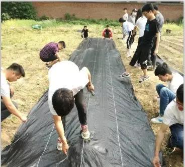 新葡京娱乐