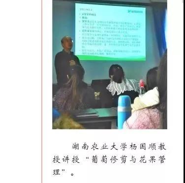新葡京娱乐