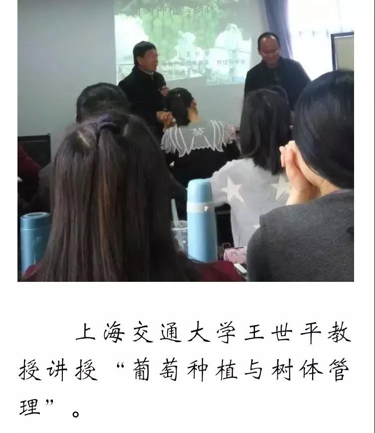 新葡京娱乐