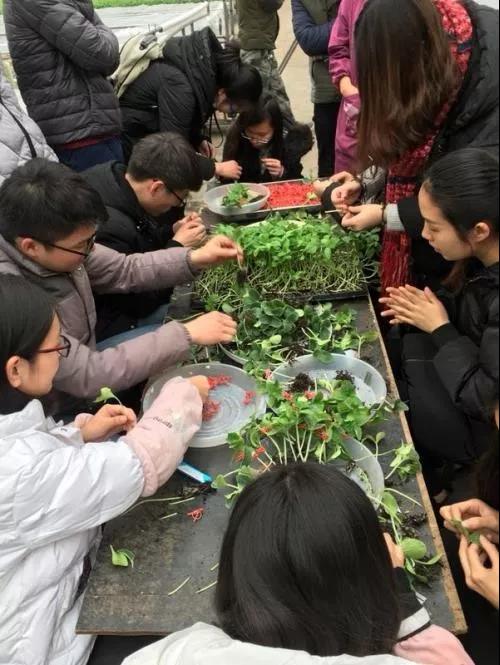 新葡京娱乐