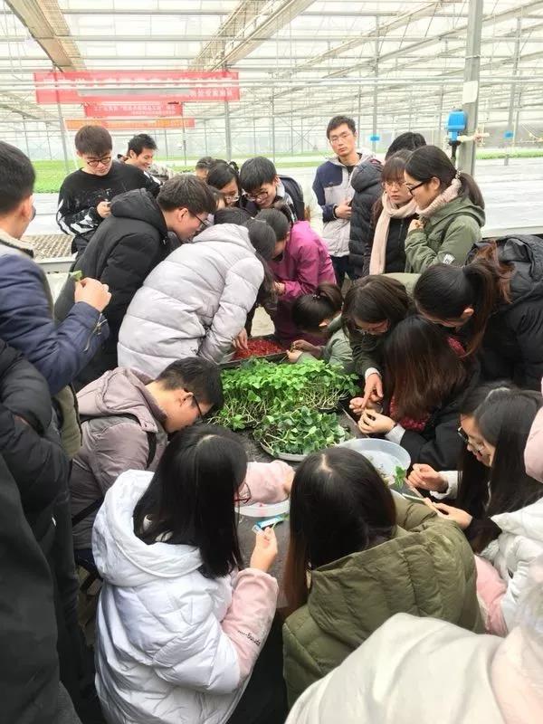 新葡京娱乐