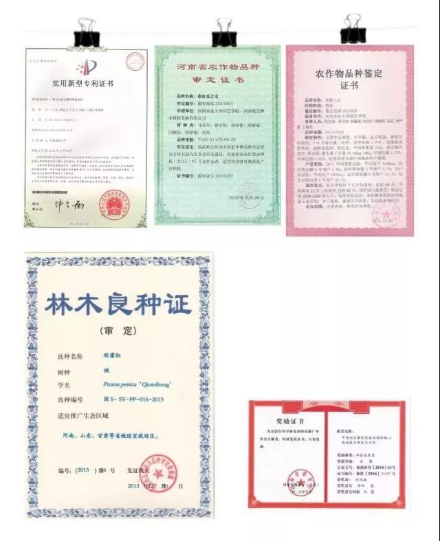 新葡京娱乐