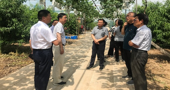 新葡京娱乐