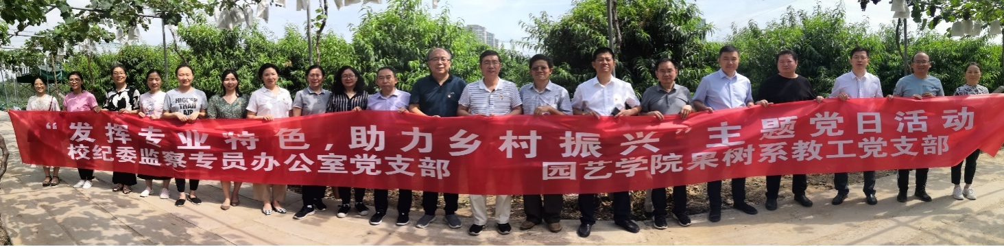 新葡京娱乐