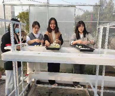 新葡京娱乐