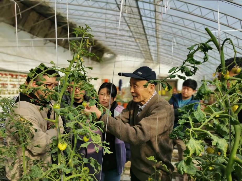 新葡京娱乐
