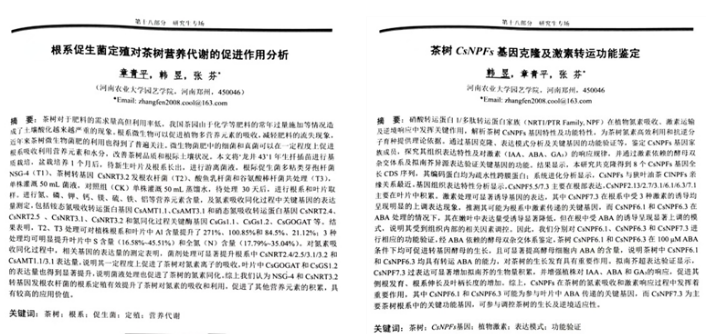 新葡京娱乐