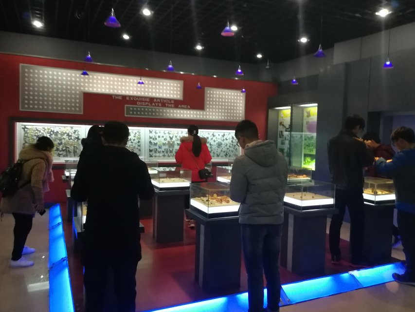 新葡京娱乐